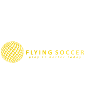 new-flying-soccer-logo